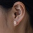 Hip Hop S925 Moissanite Diamond Stud Earrings 